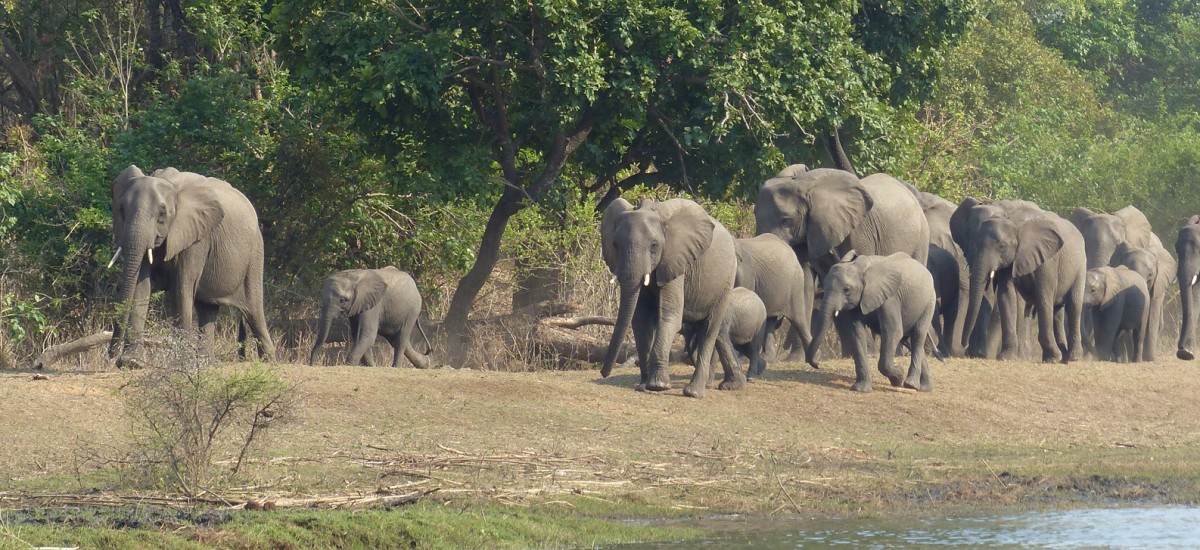 Malawi - Majete Wildlife Reserve