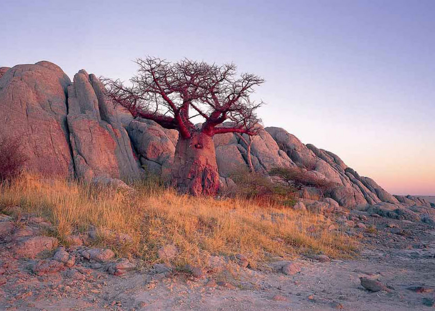 Botswana - Kubu Island