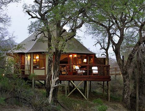 SA-KNP-Hamiltons Tented Camp-tent ext
