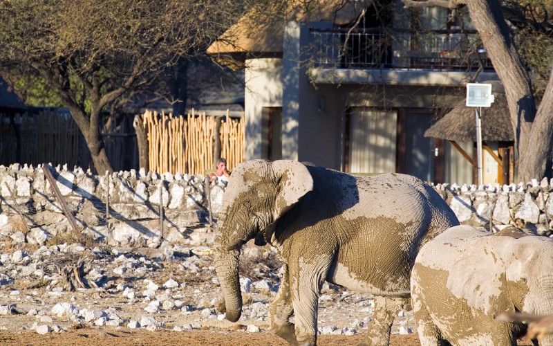 Okaukuejo Restcamp