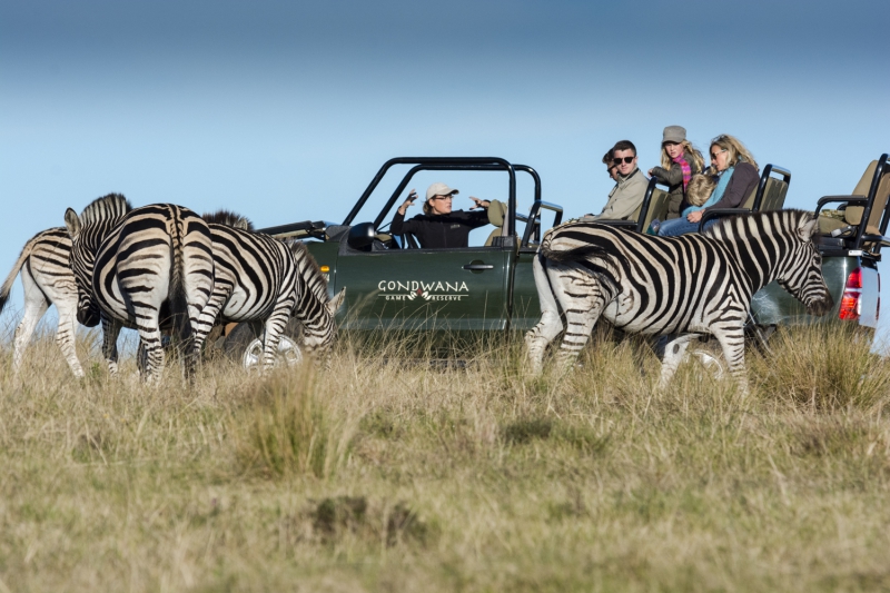 Gondwana Game Reserve - Bild 4