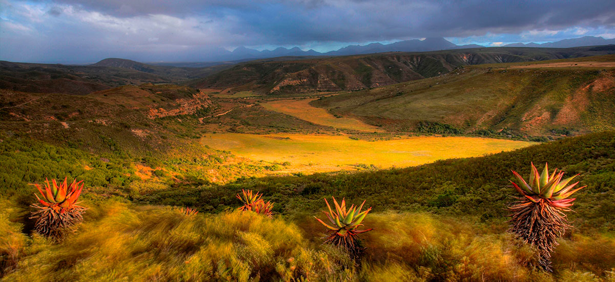 Gondwana Game Reserve - Bild 3