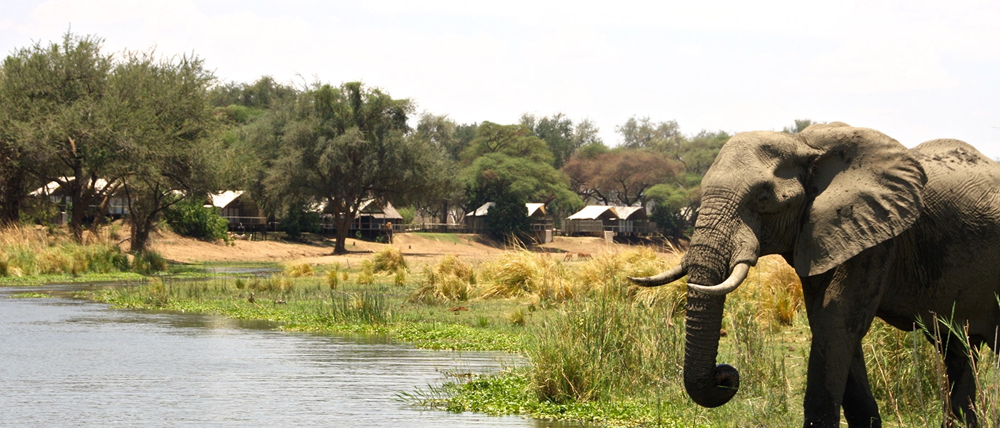 Anabezi Camp