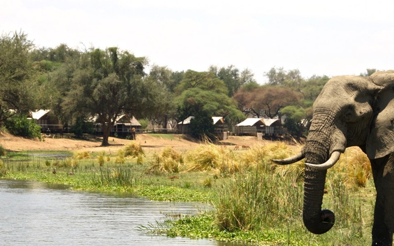 Anabezi Camp