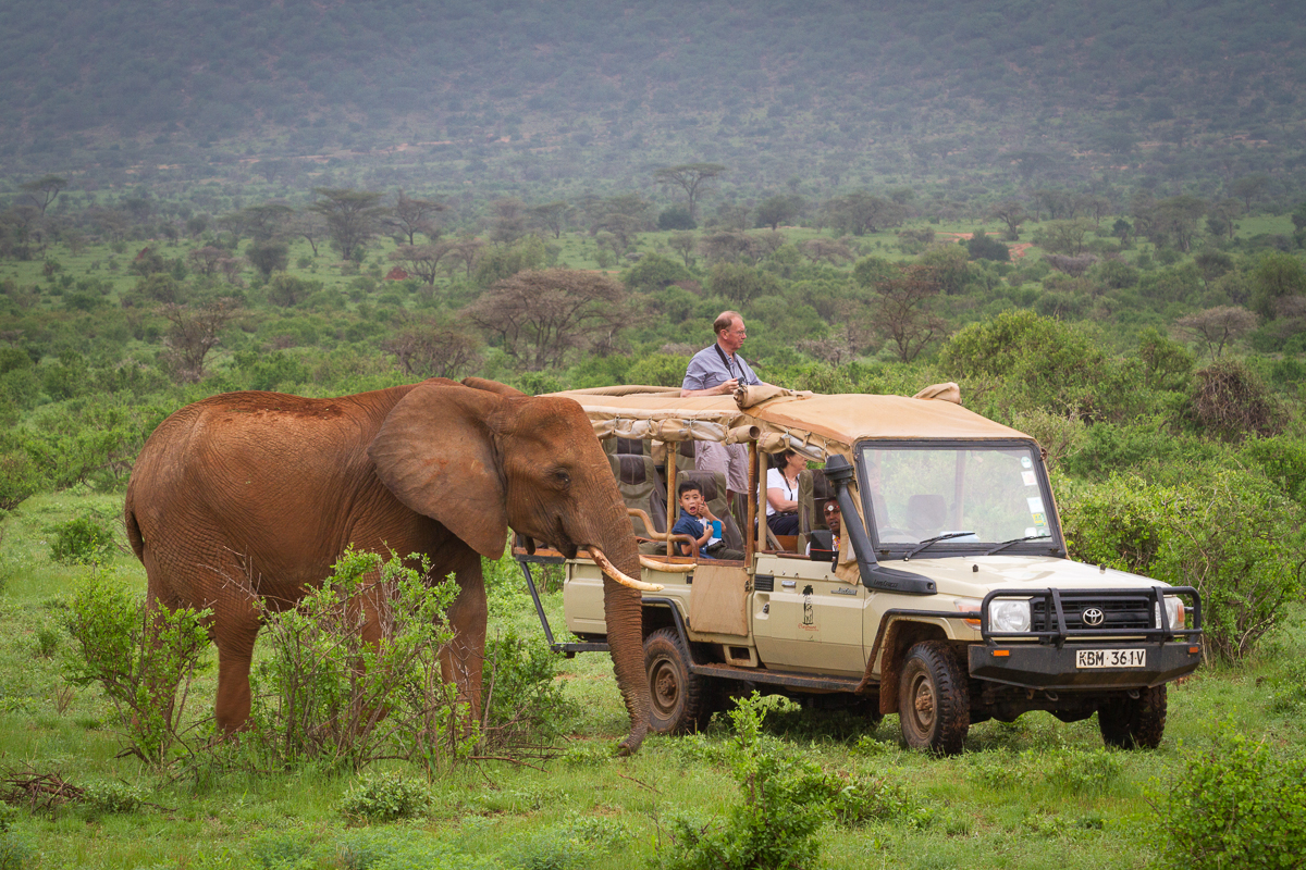 Elephant Bedroom Camp - Bild 5