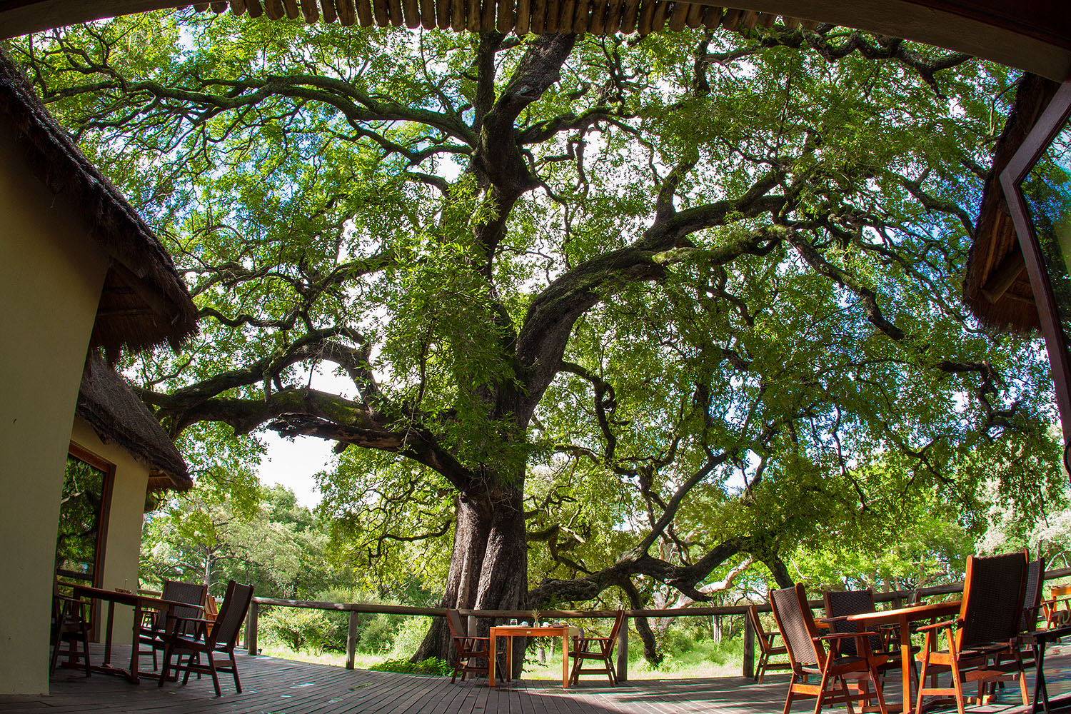 Tintswalo Safari Lodge