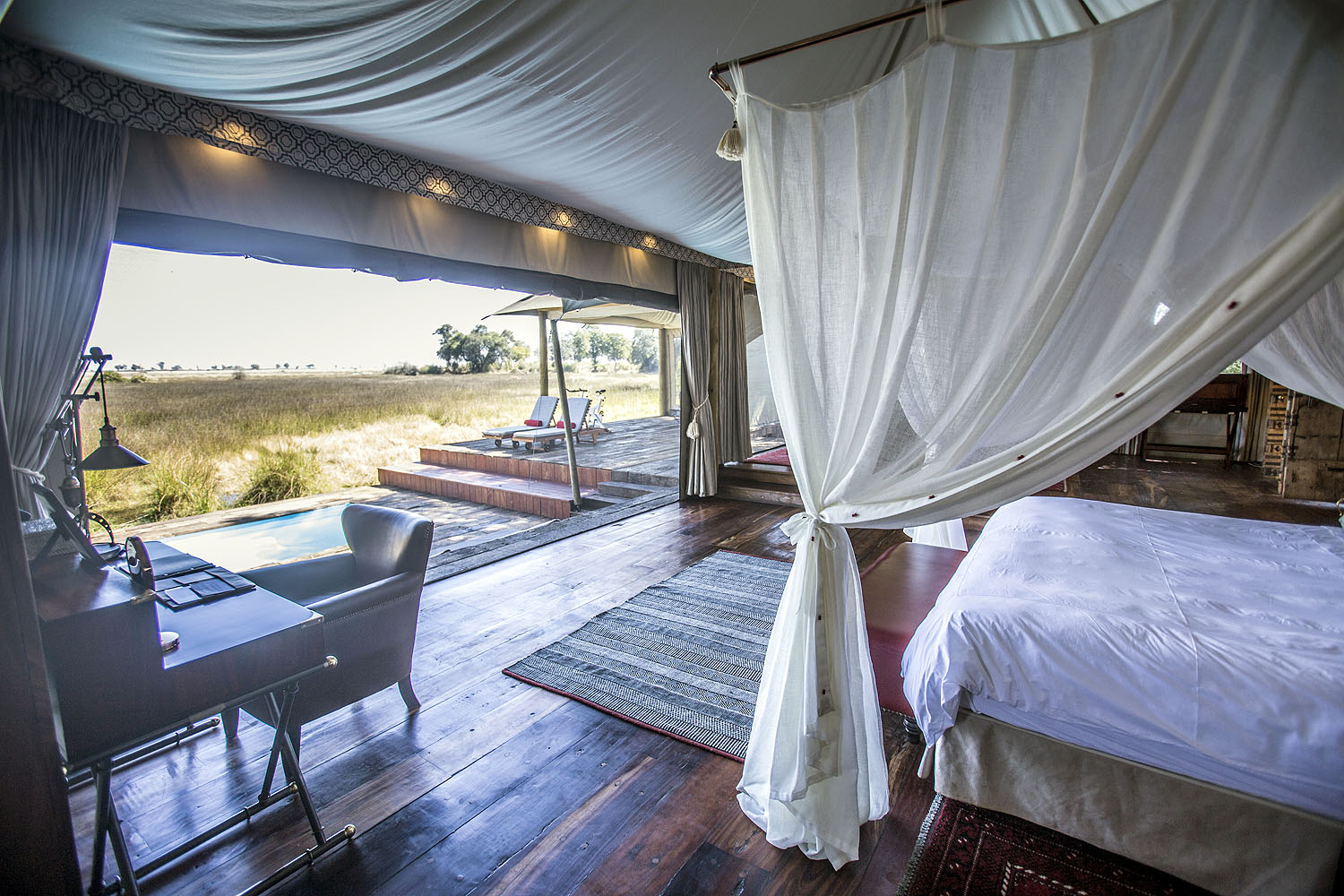 Duba Plains & Duba Plains Suite - Bild 2