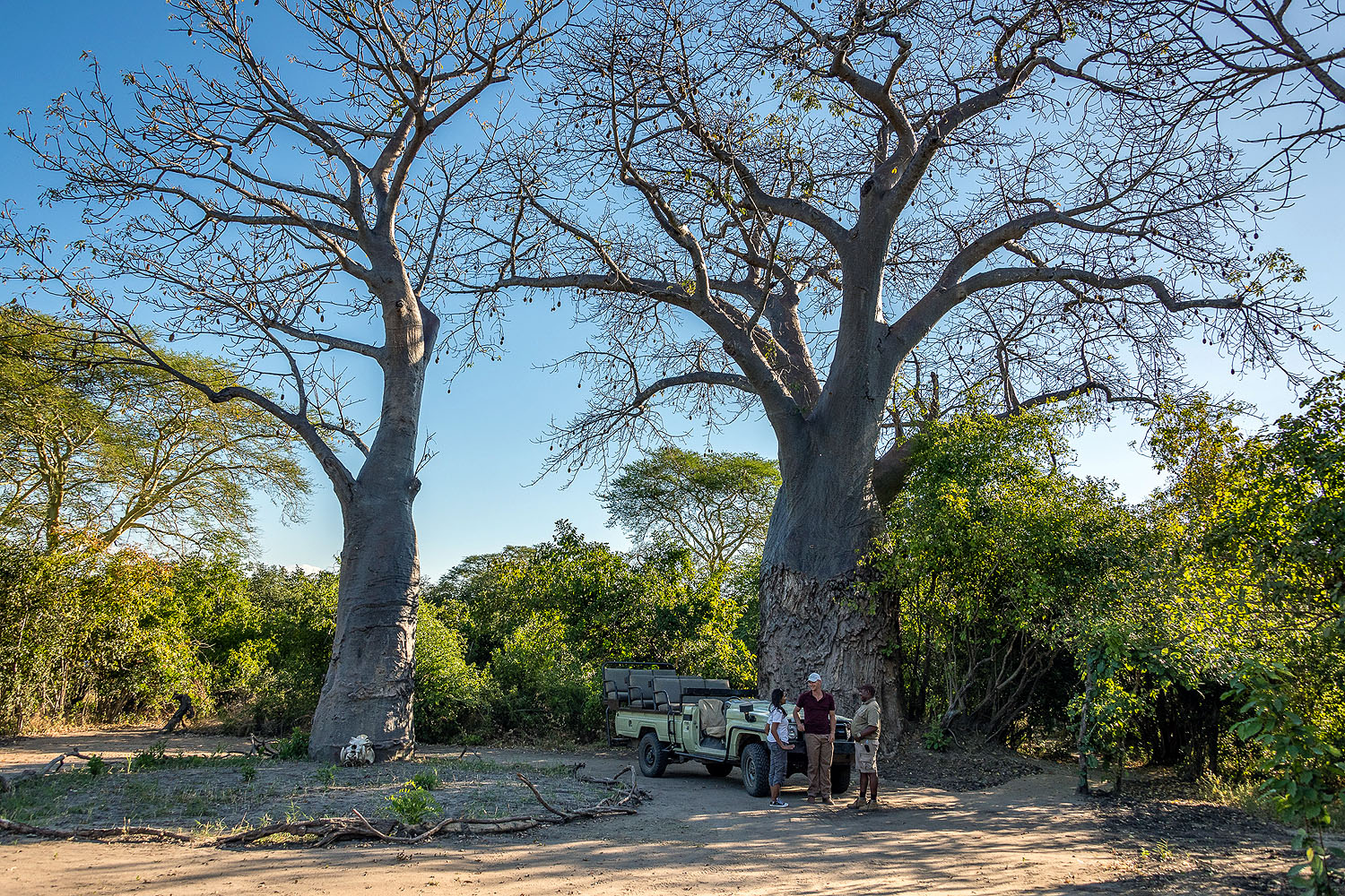 Kuthengo Camp - Bild 4