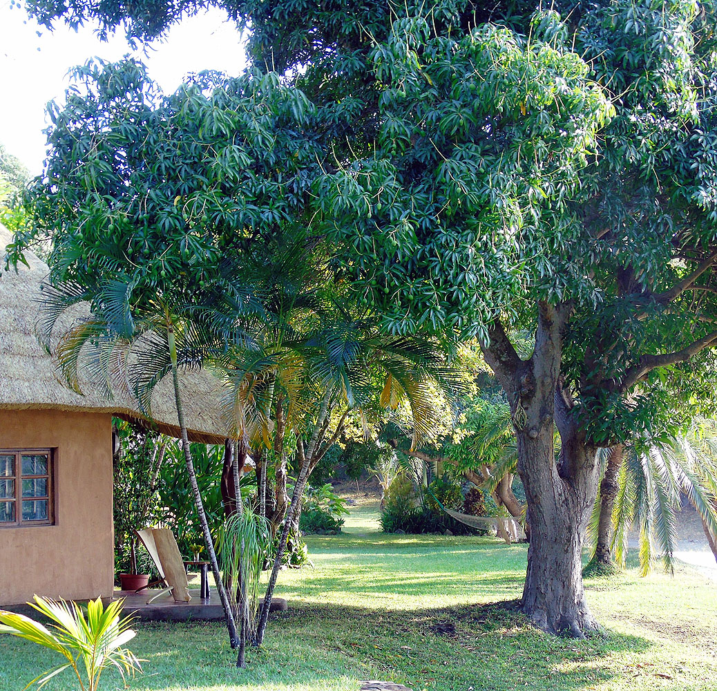 Makuzi Beach Lodge