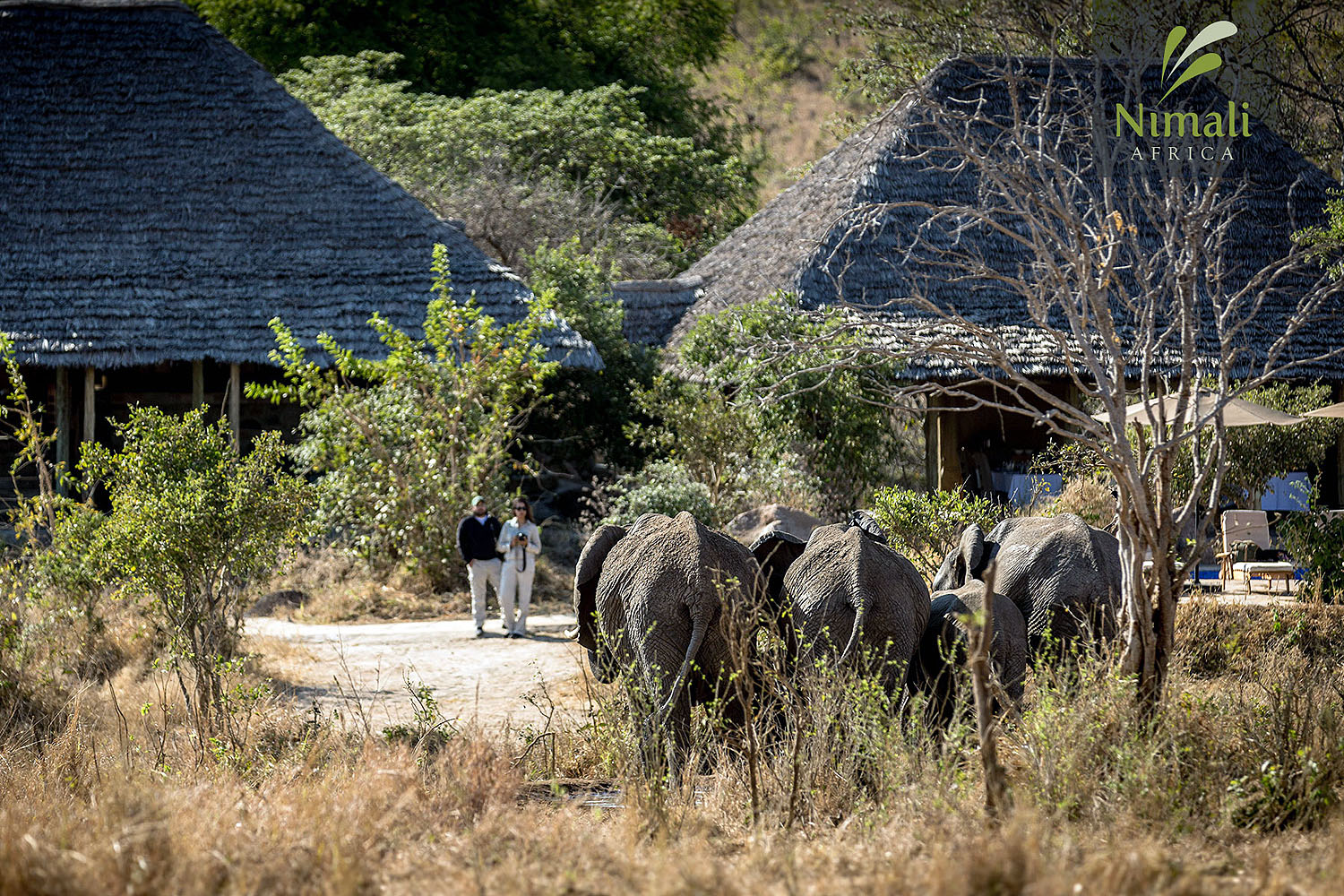 Nimali Tarangire Camp