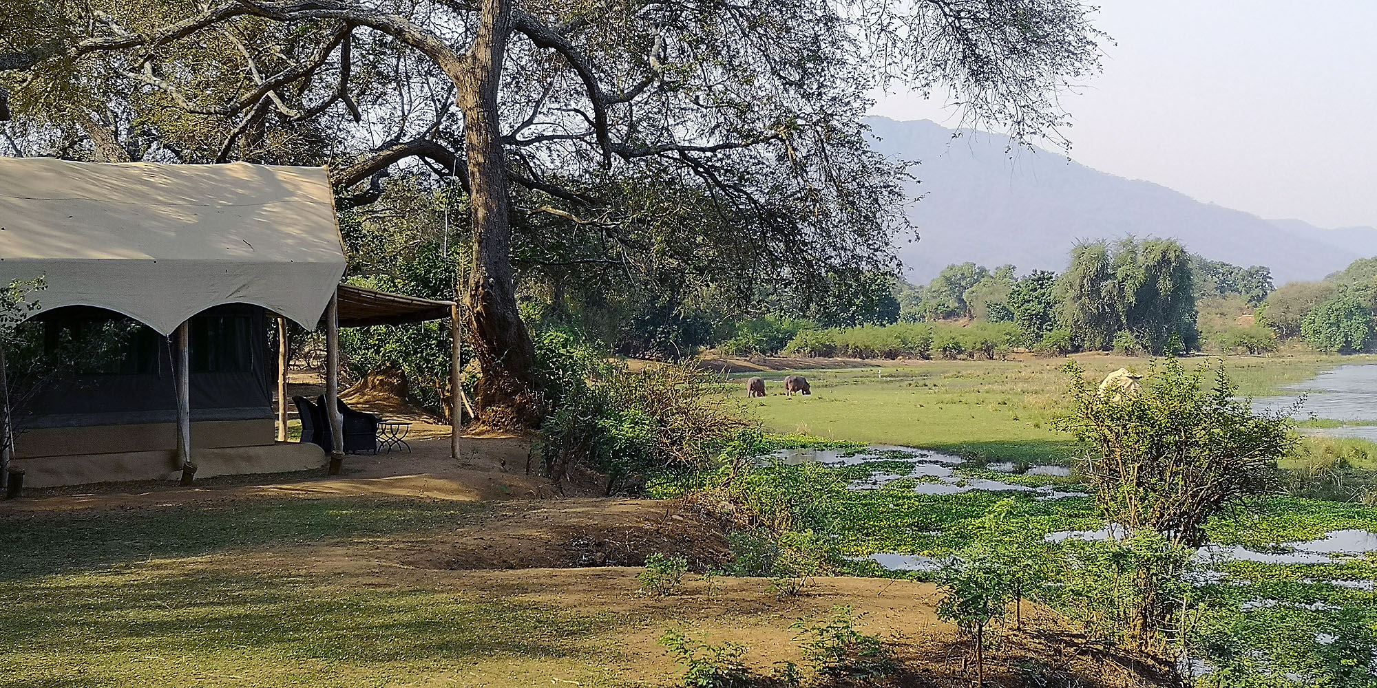 Chongwe River Camp