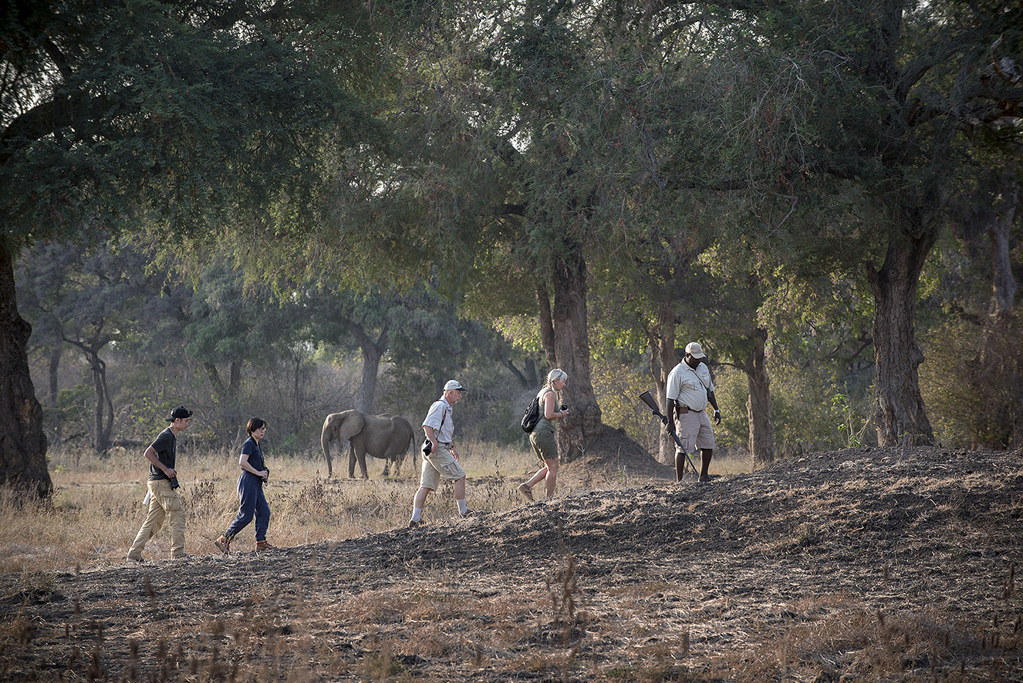 Zambezi Expeditions - Bild 5