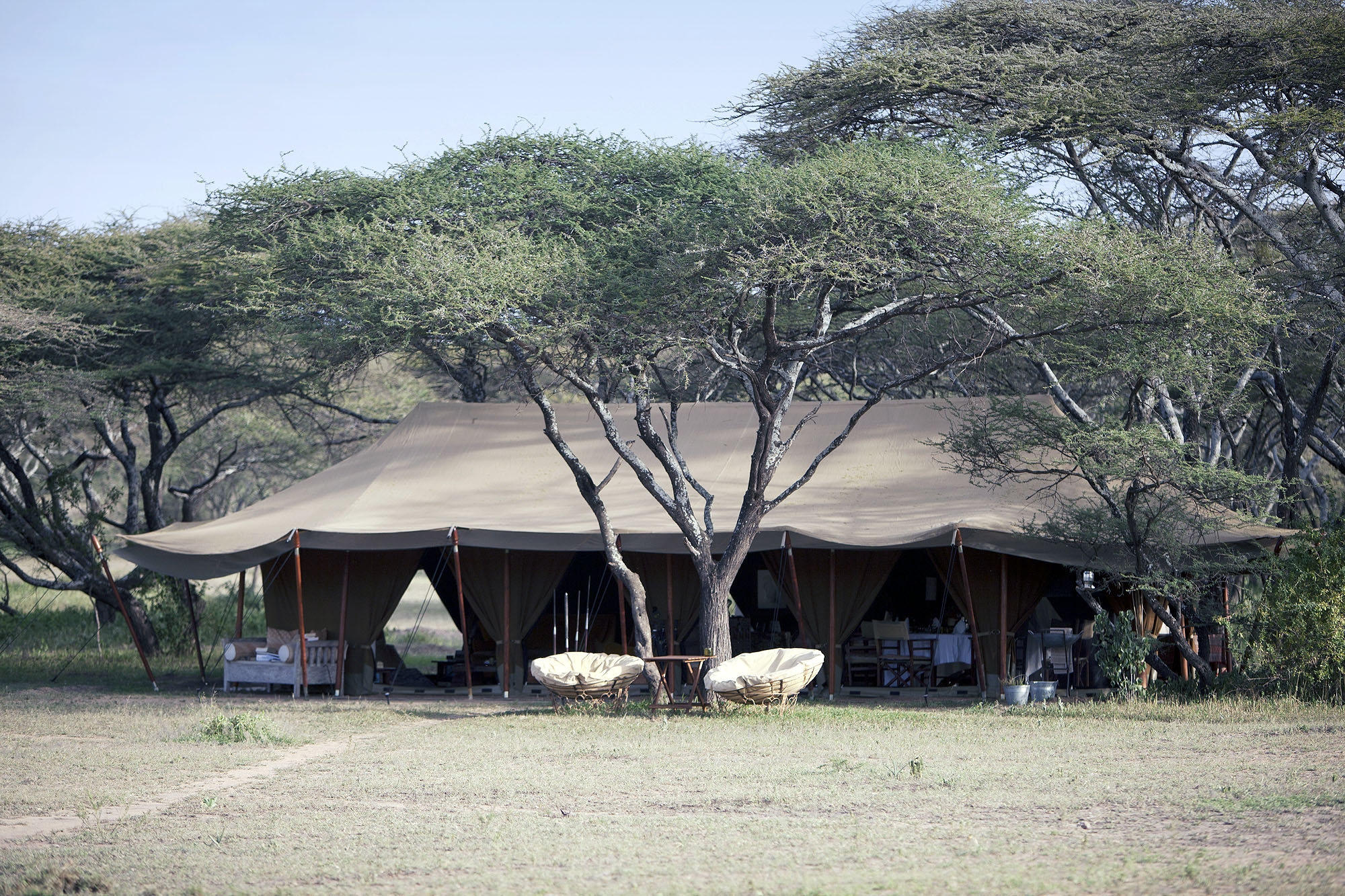 Alex Walker's Serian Serengeti South - Bild 4
