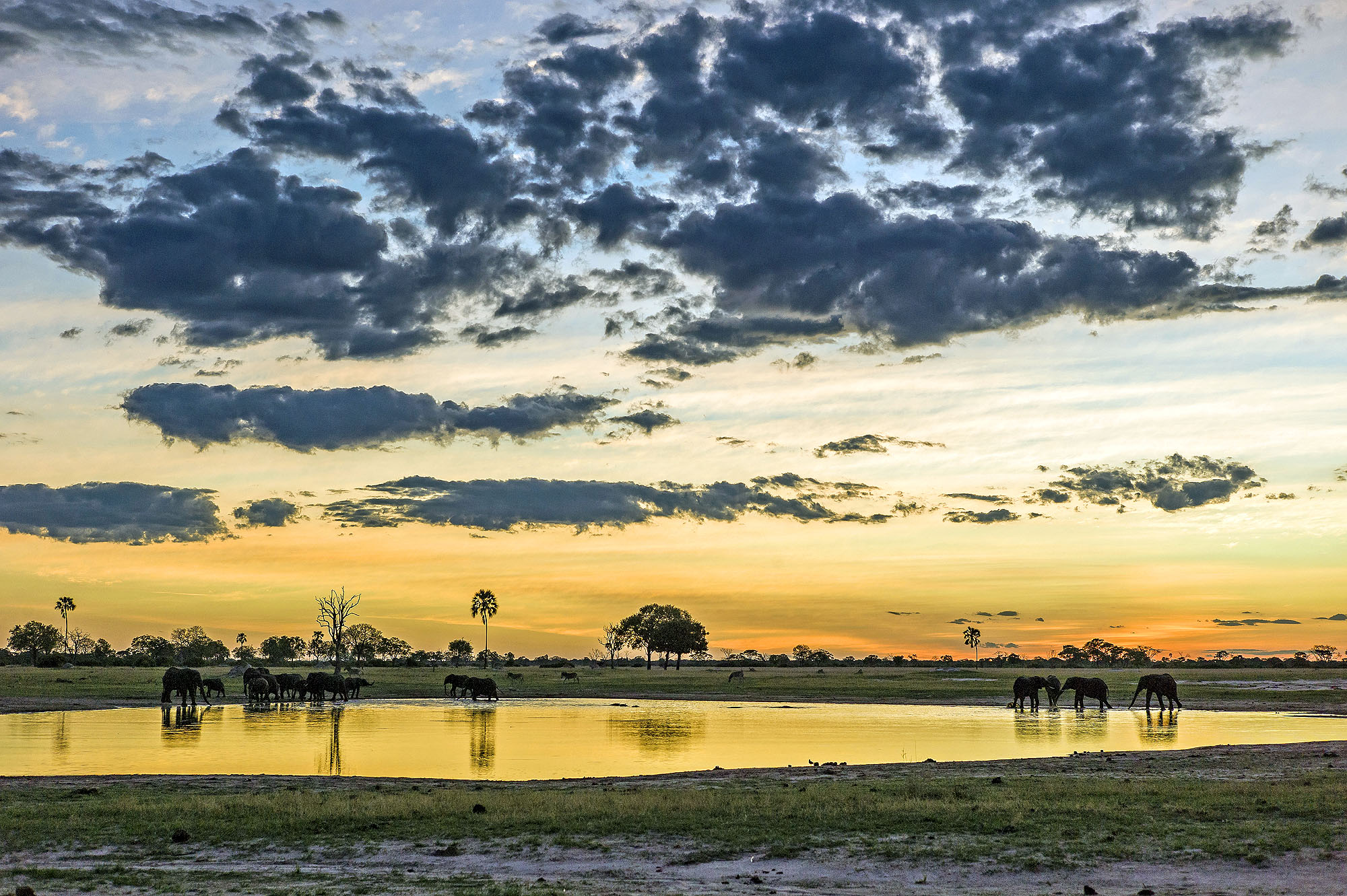 Hwange