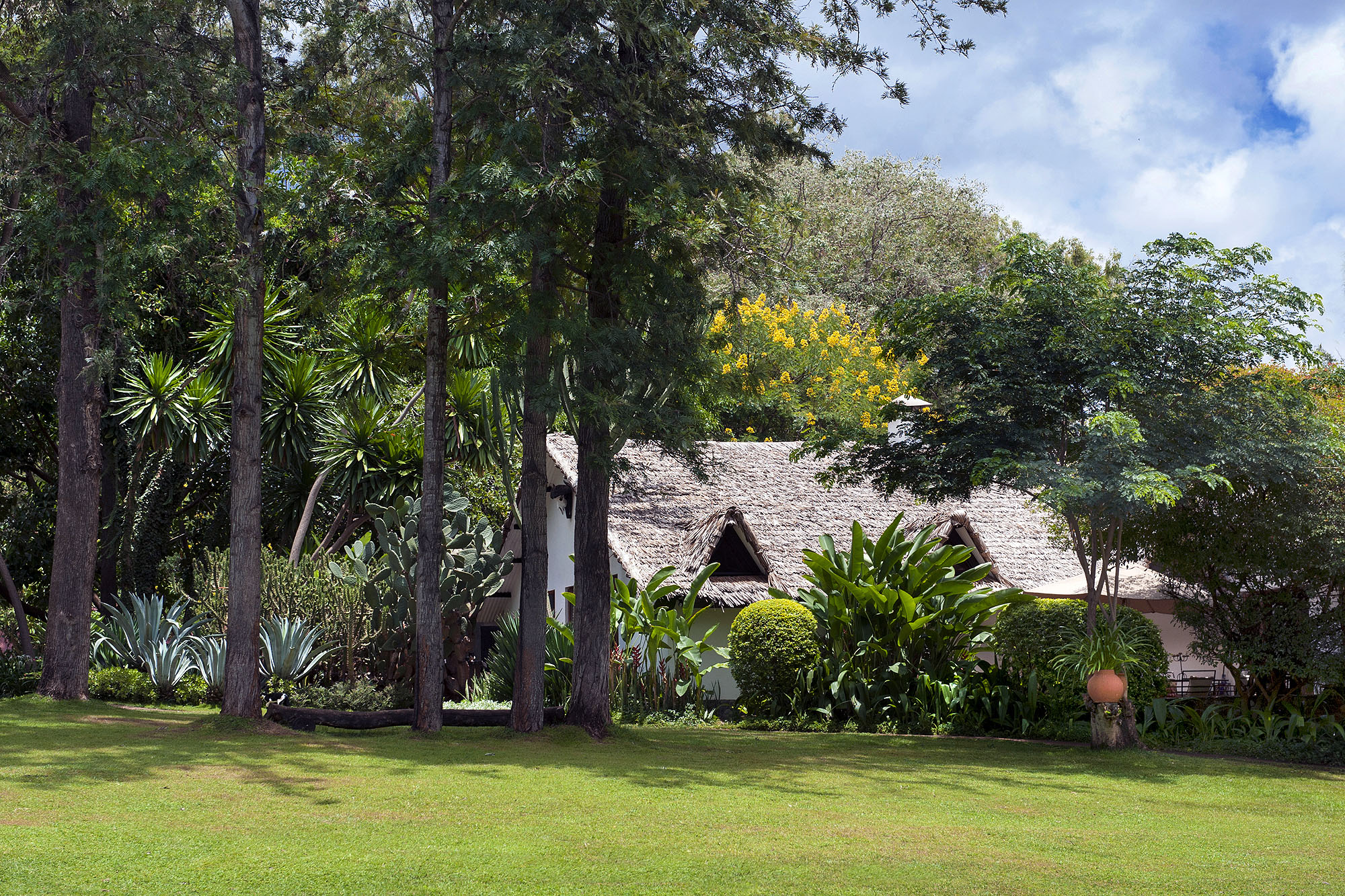 Plantation Lodge