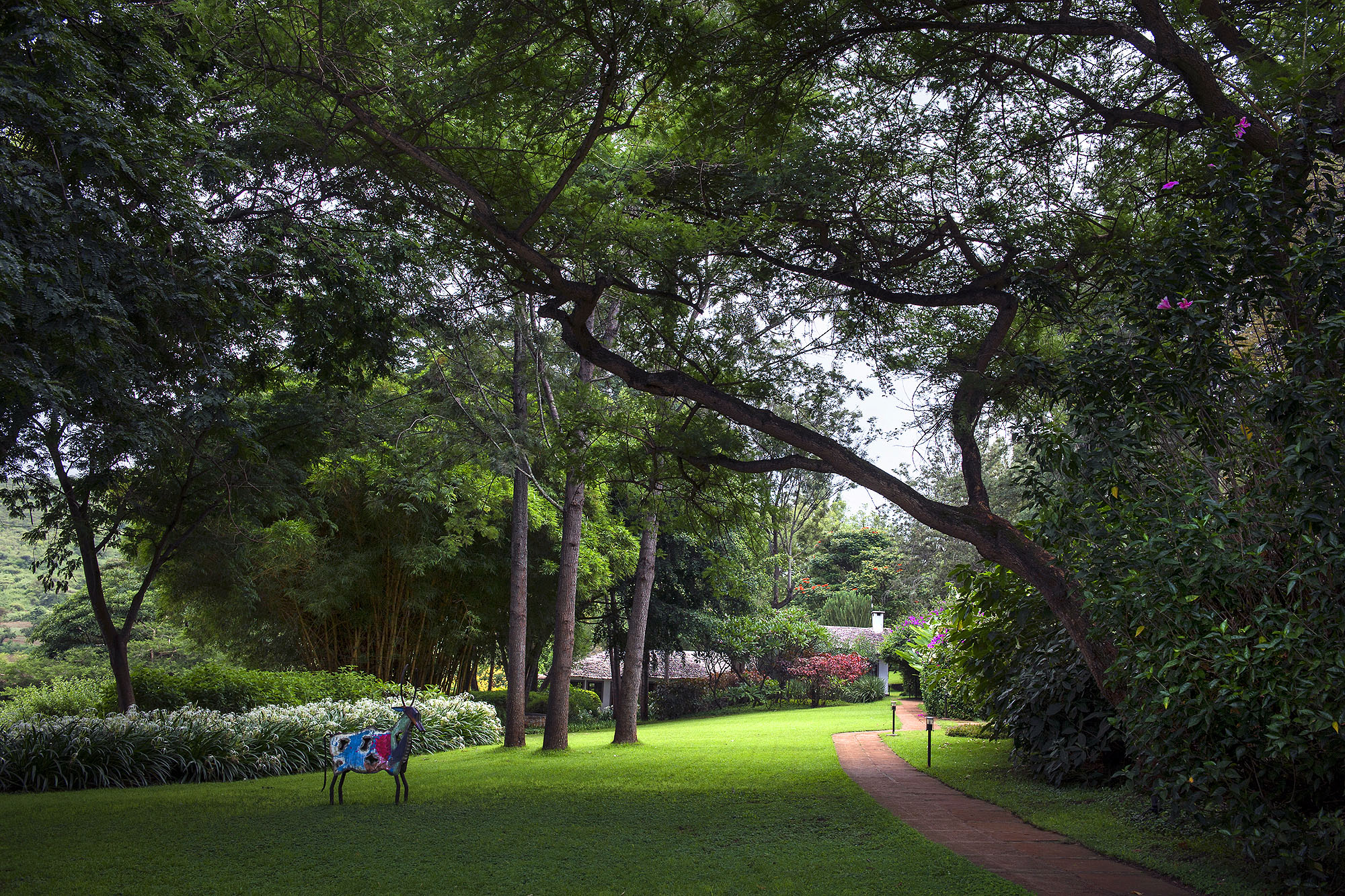Plantation Lodge - Bild 5