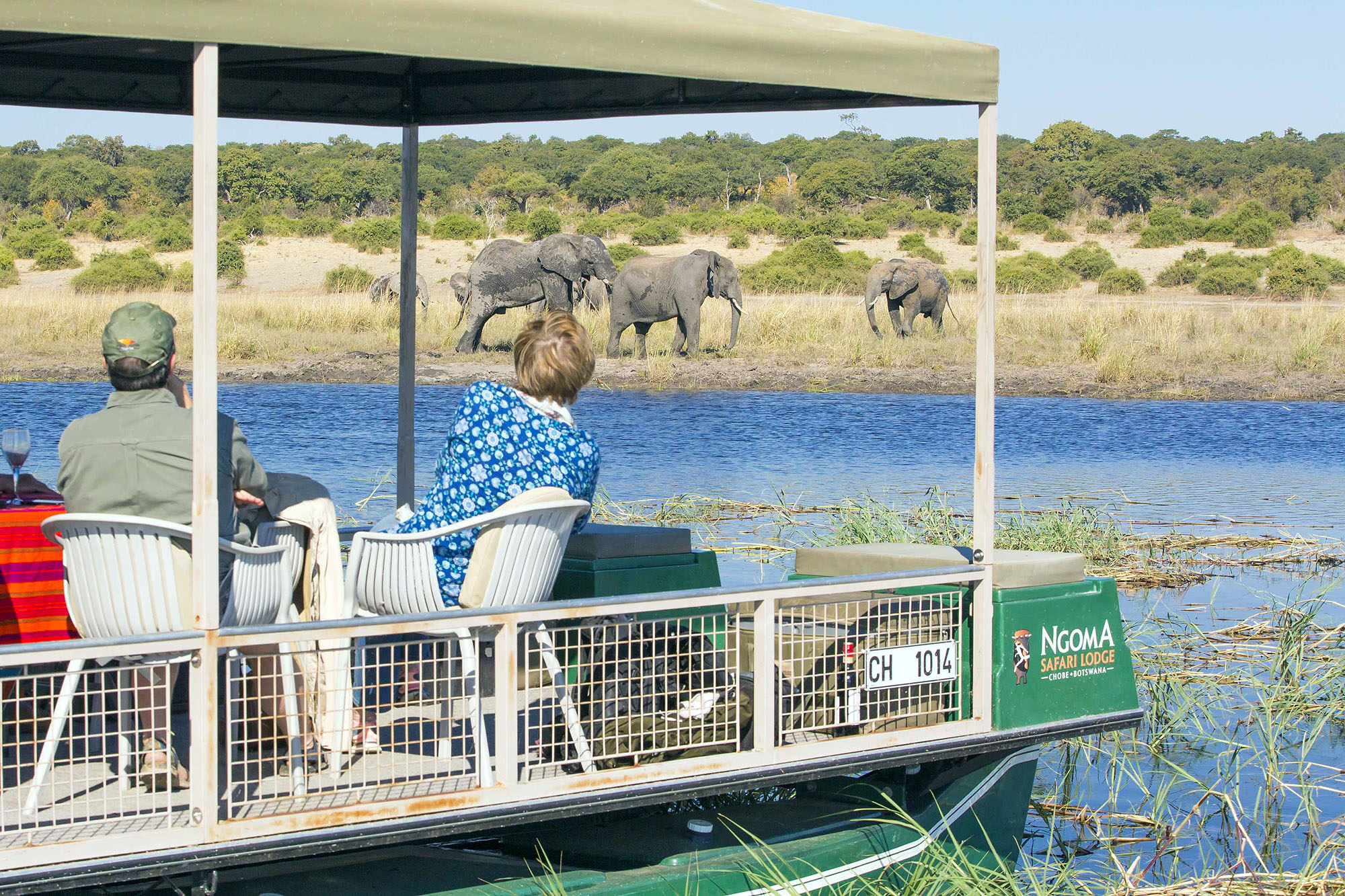 Ngoma Safari Lodge - Bild 5