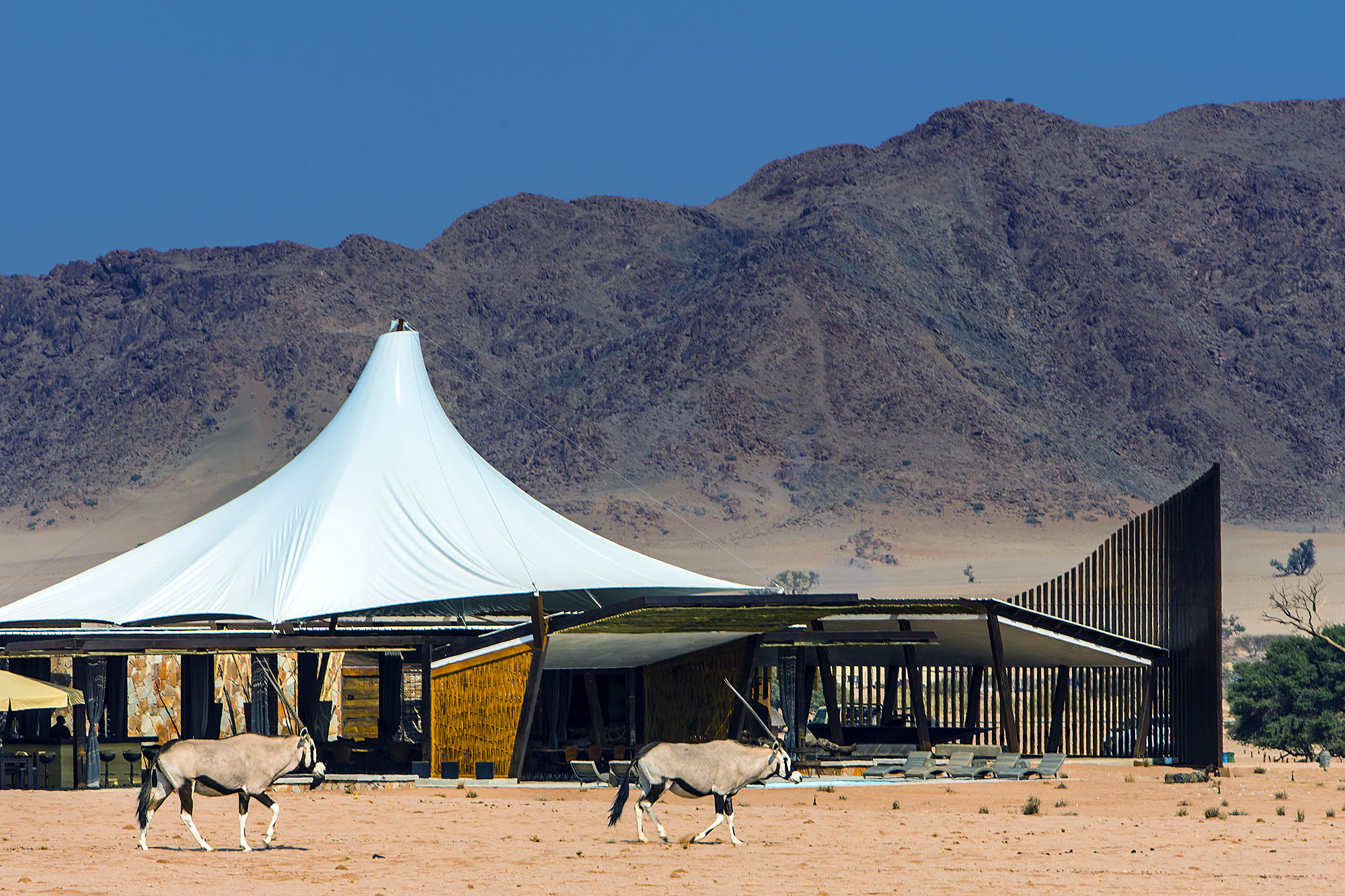 Dead Valley Lodge