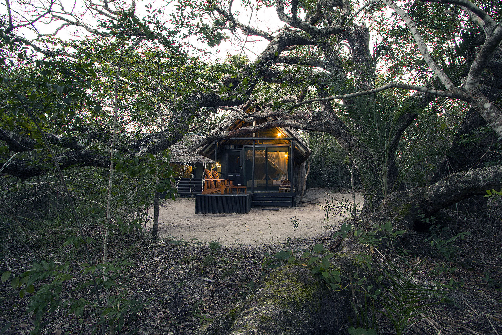 Kosi Forest Lodge