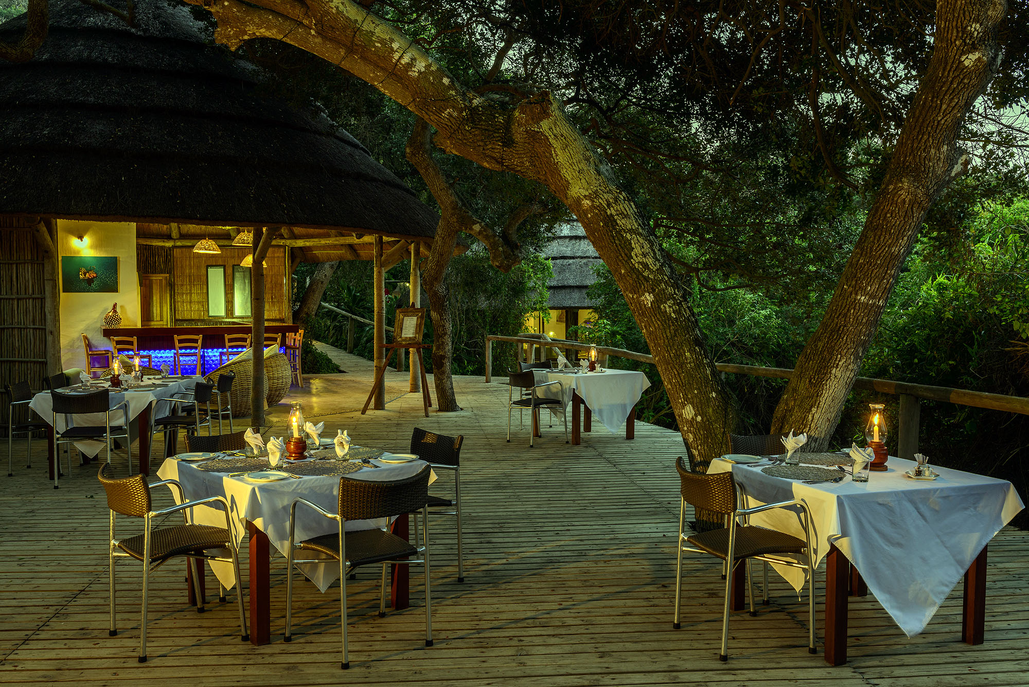 Thonga Beach Lodge - Bild 4