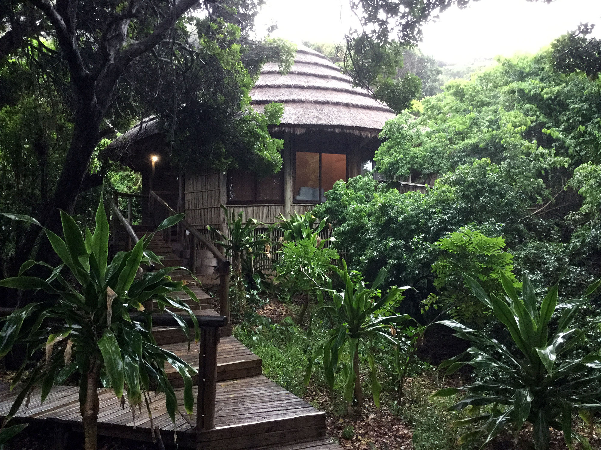 Thonga Beach Lodge