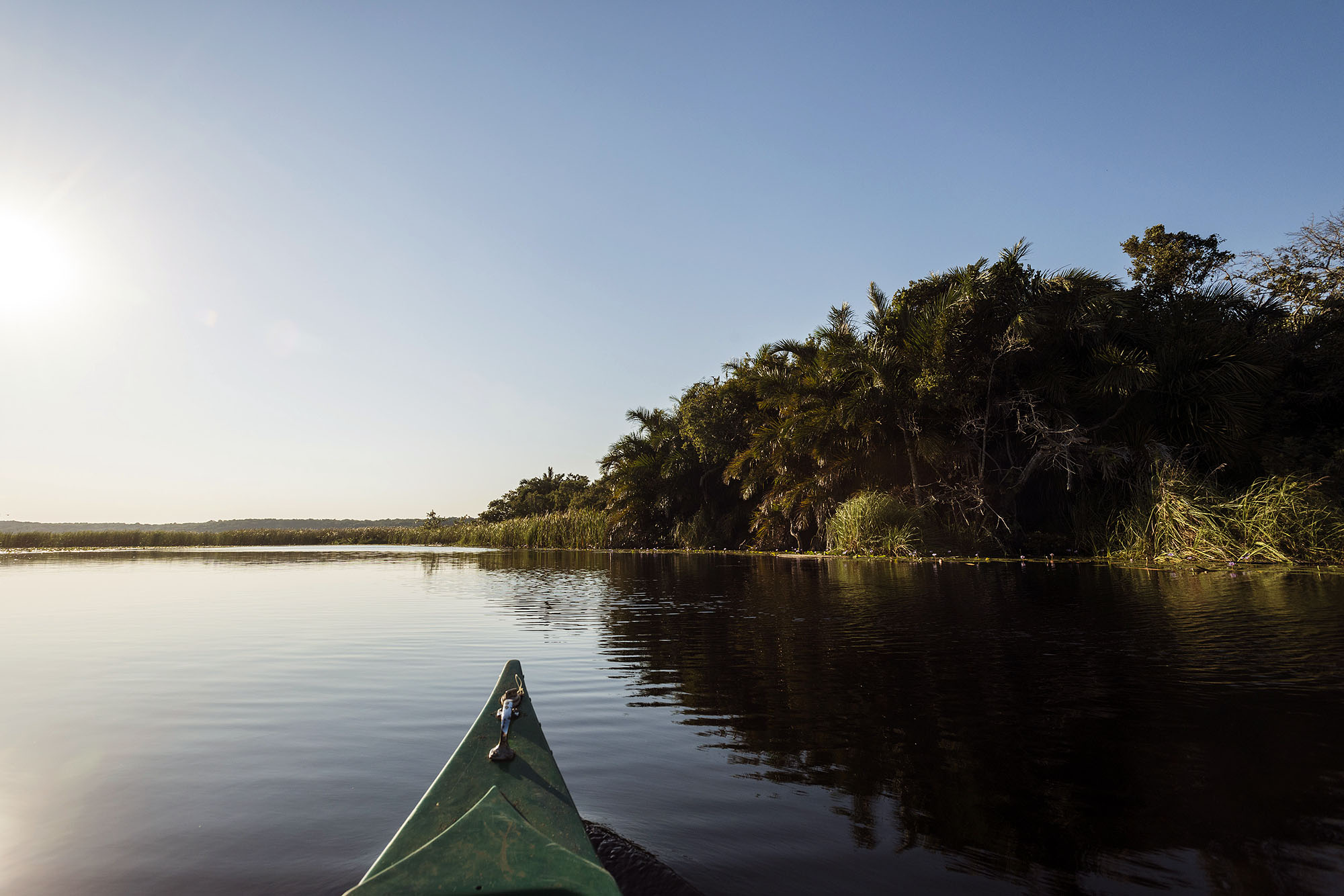 Kosi Forest Lodge - Bild 5