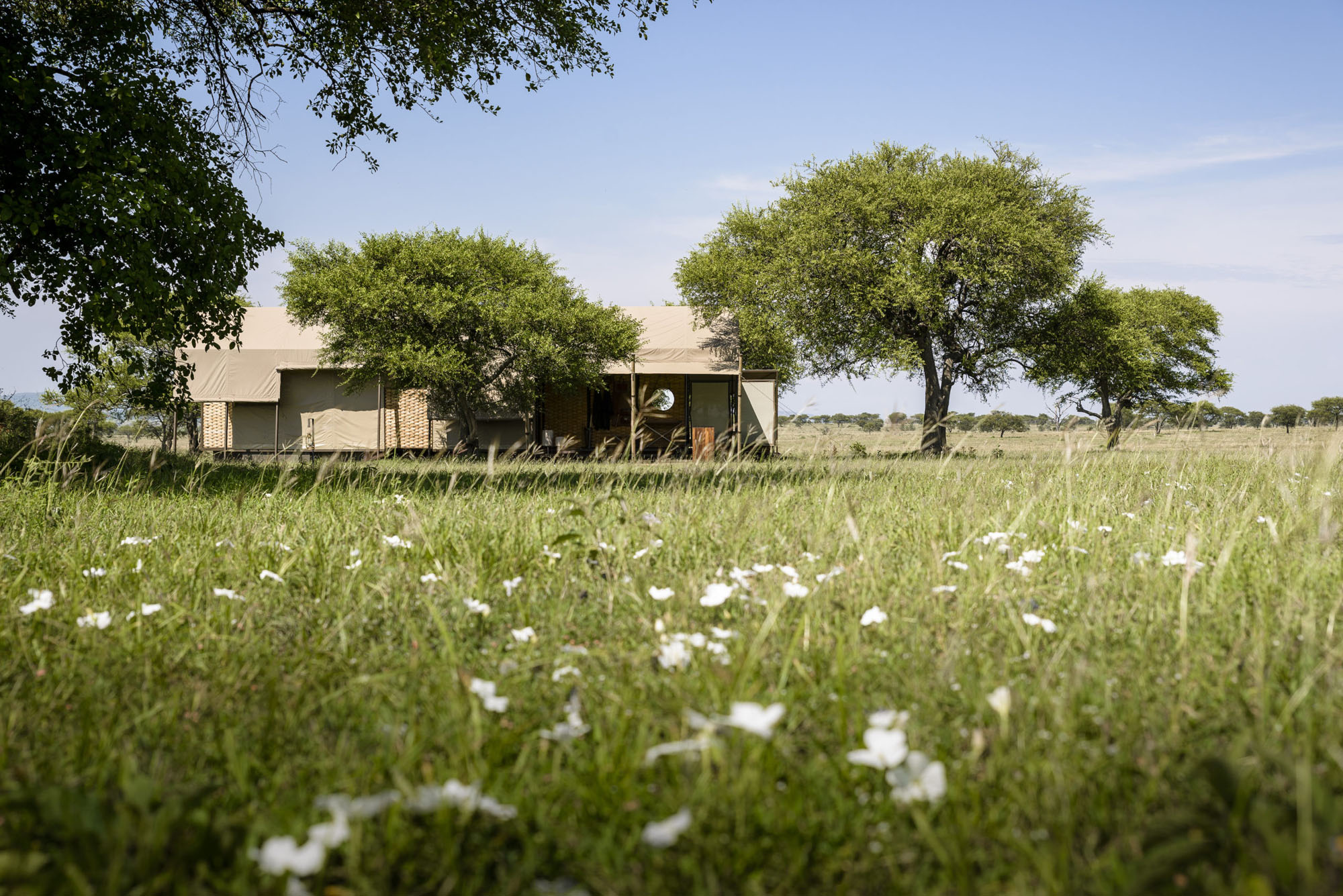Singita Sabora Tented Camp - Bild 5