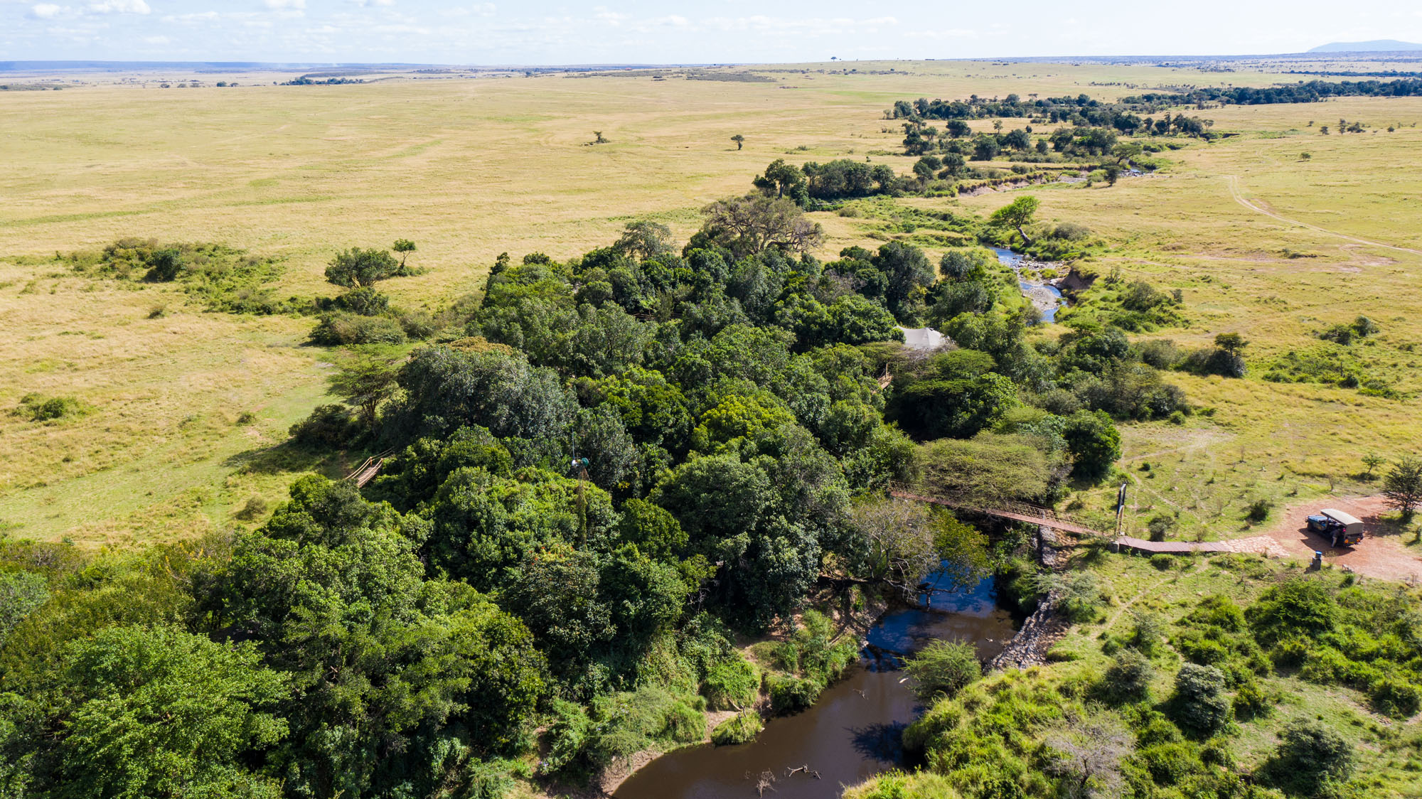 Mara Plains Camp - Bild 5