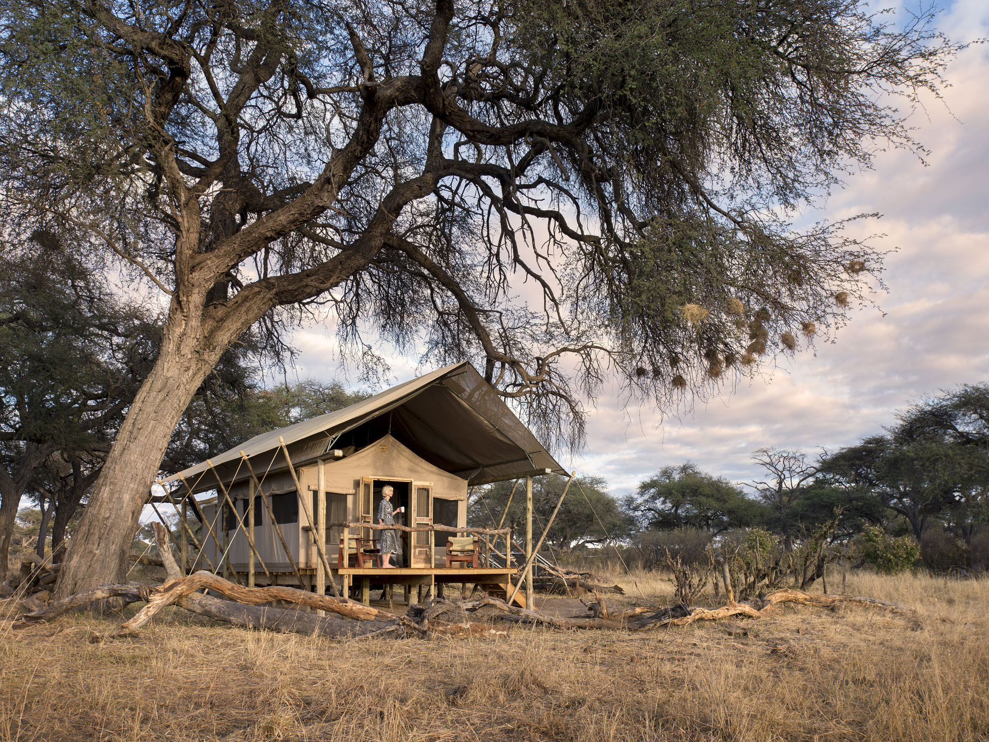 Somalisa Expedition Camp - Bild 2