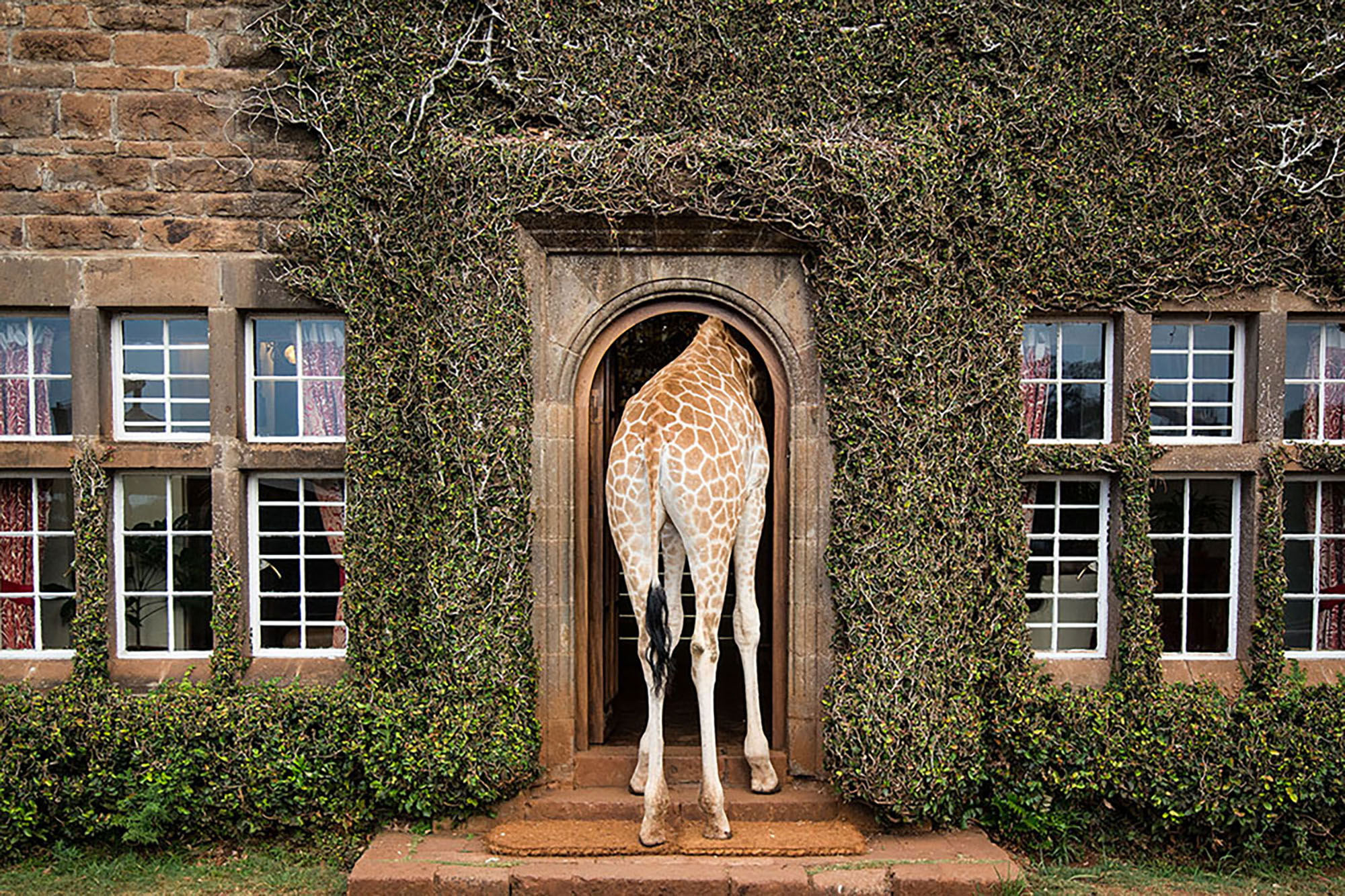 Giraffe Manor