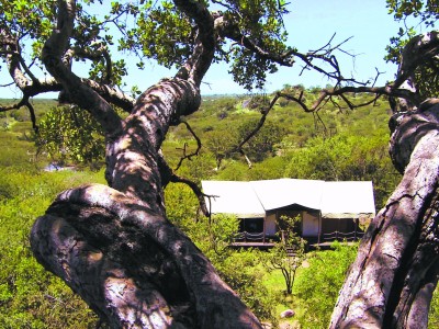 Elewana Serengeti Migration Camp