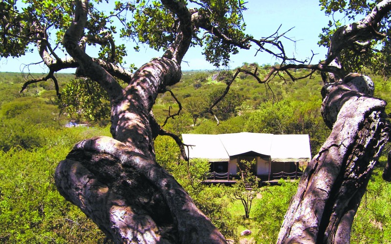 Elewana Serengeti Migration Camp