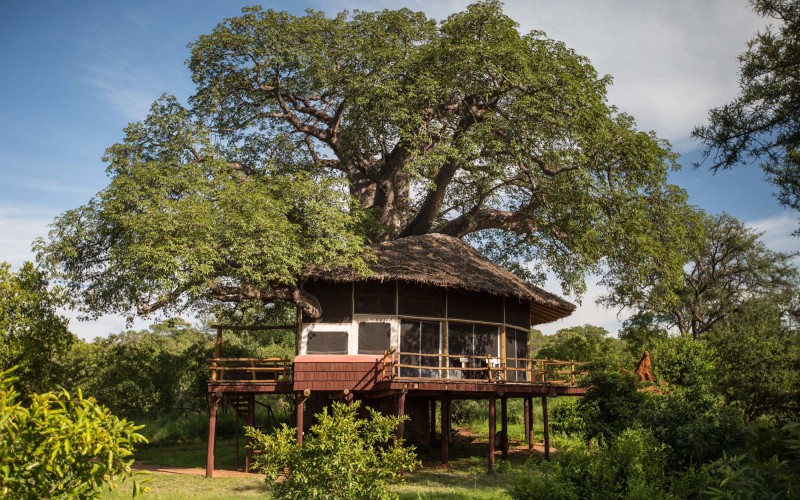 Elewana Tarangire Treetops