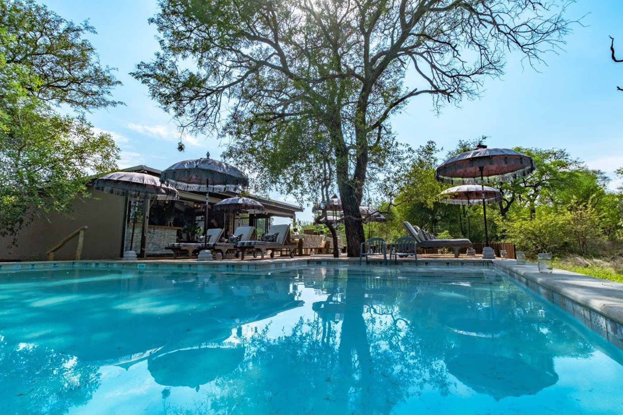 Safari Moon Bush Lodge