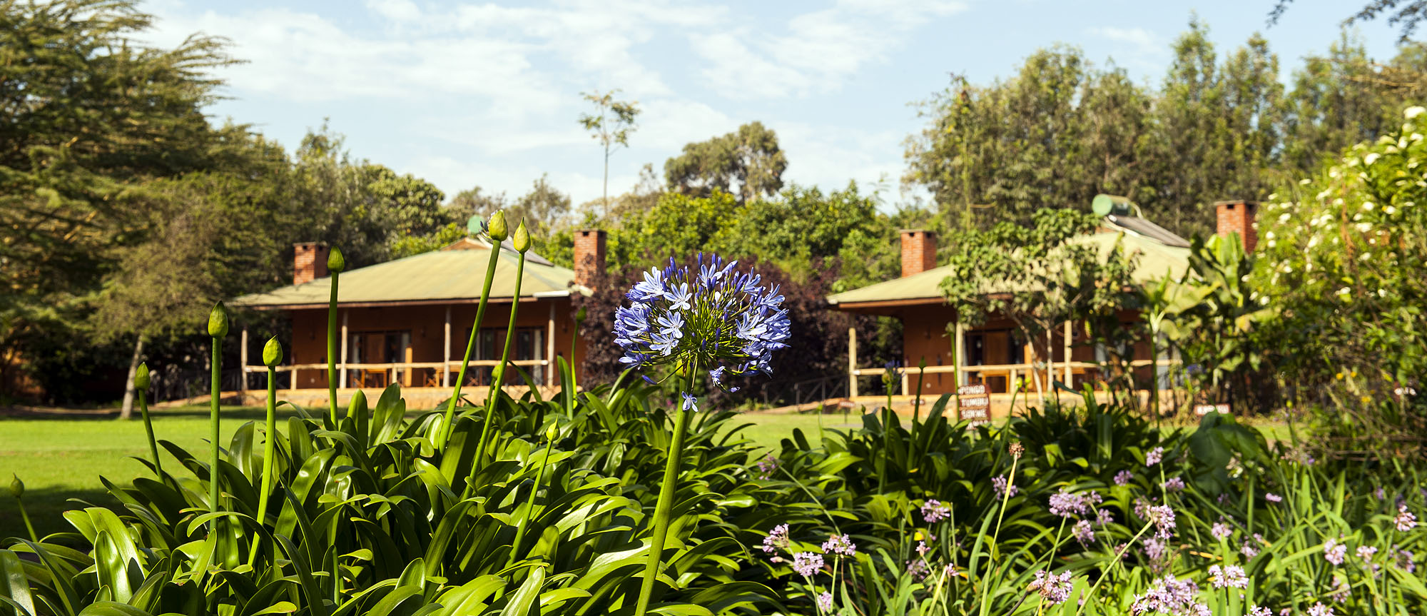Tloma Lodge - Bild 3