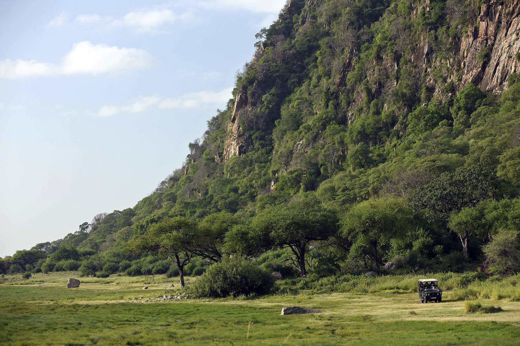 Lake Manyara Tree Lodge - Bild 4