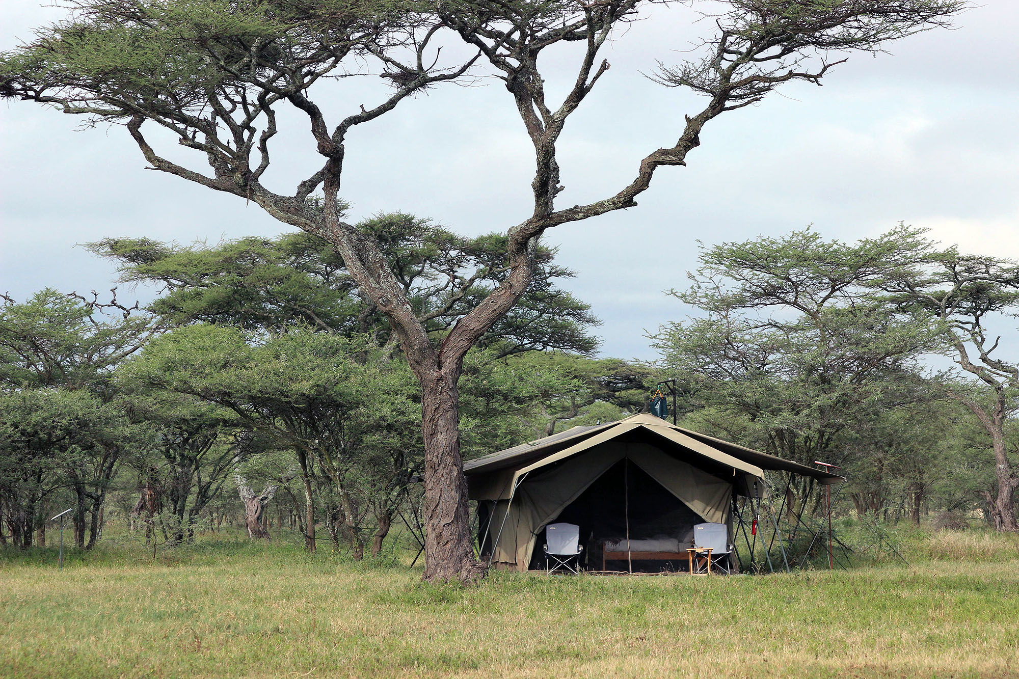 Ndutu Wilderness Camp