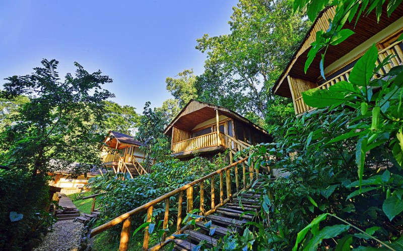 Buhoma Lodge
