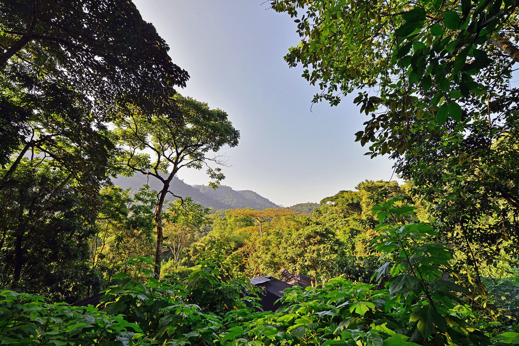 Buhoma Lodge - Bild 5