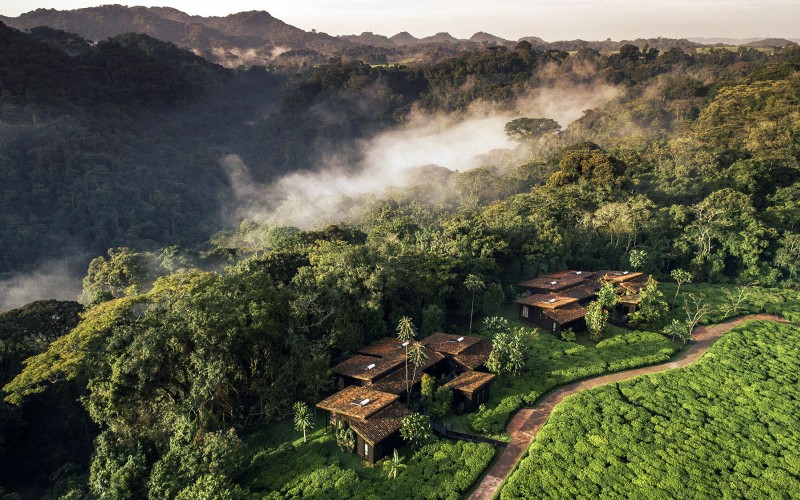 One & Only Nyungwe House