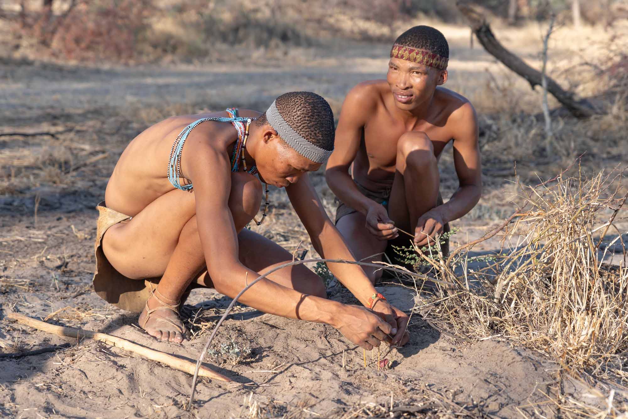 Meno a Kwena - Bild 10
