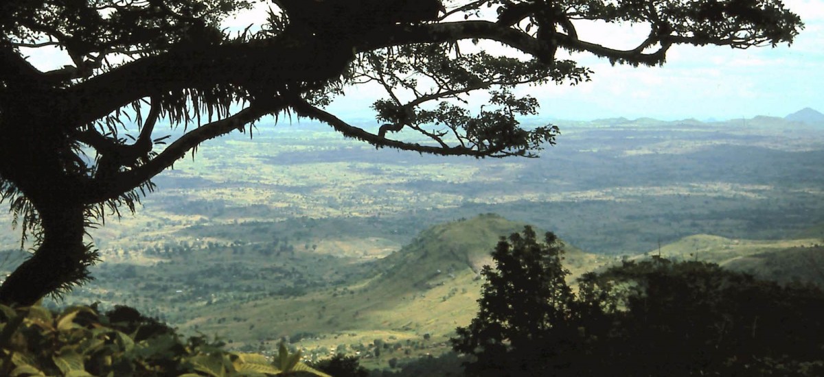 Malawi - Zomba Plateau