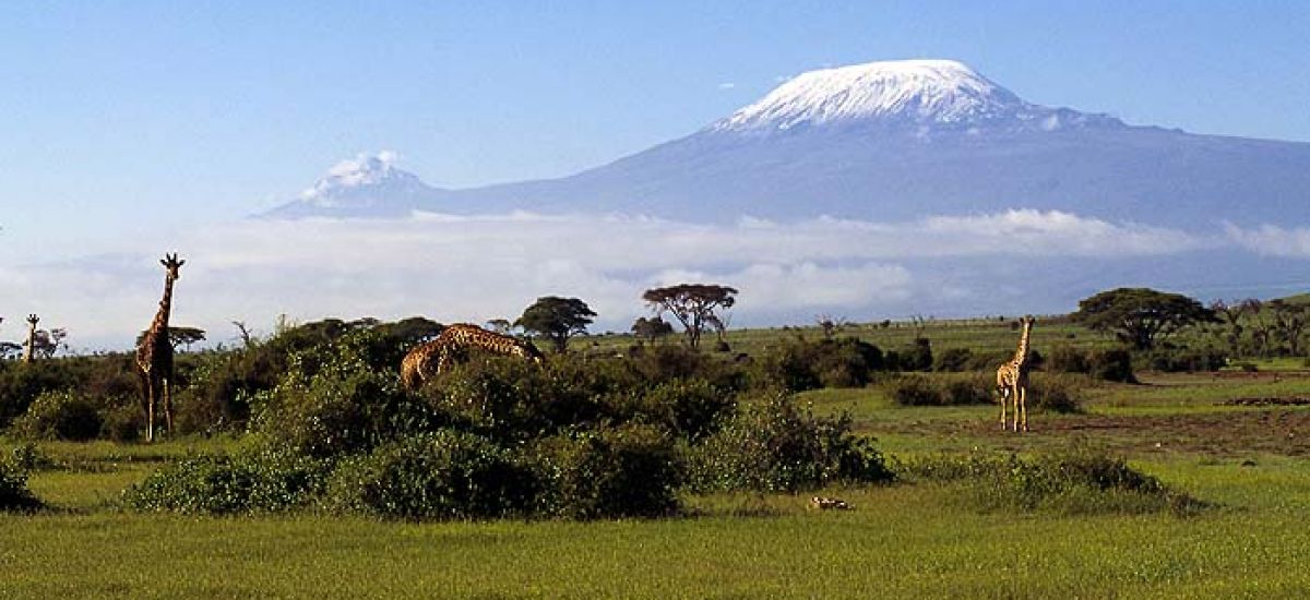 Amboseli - Blick auf den Kilimanjaro