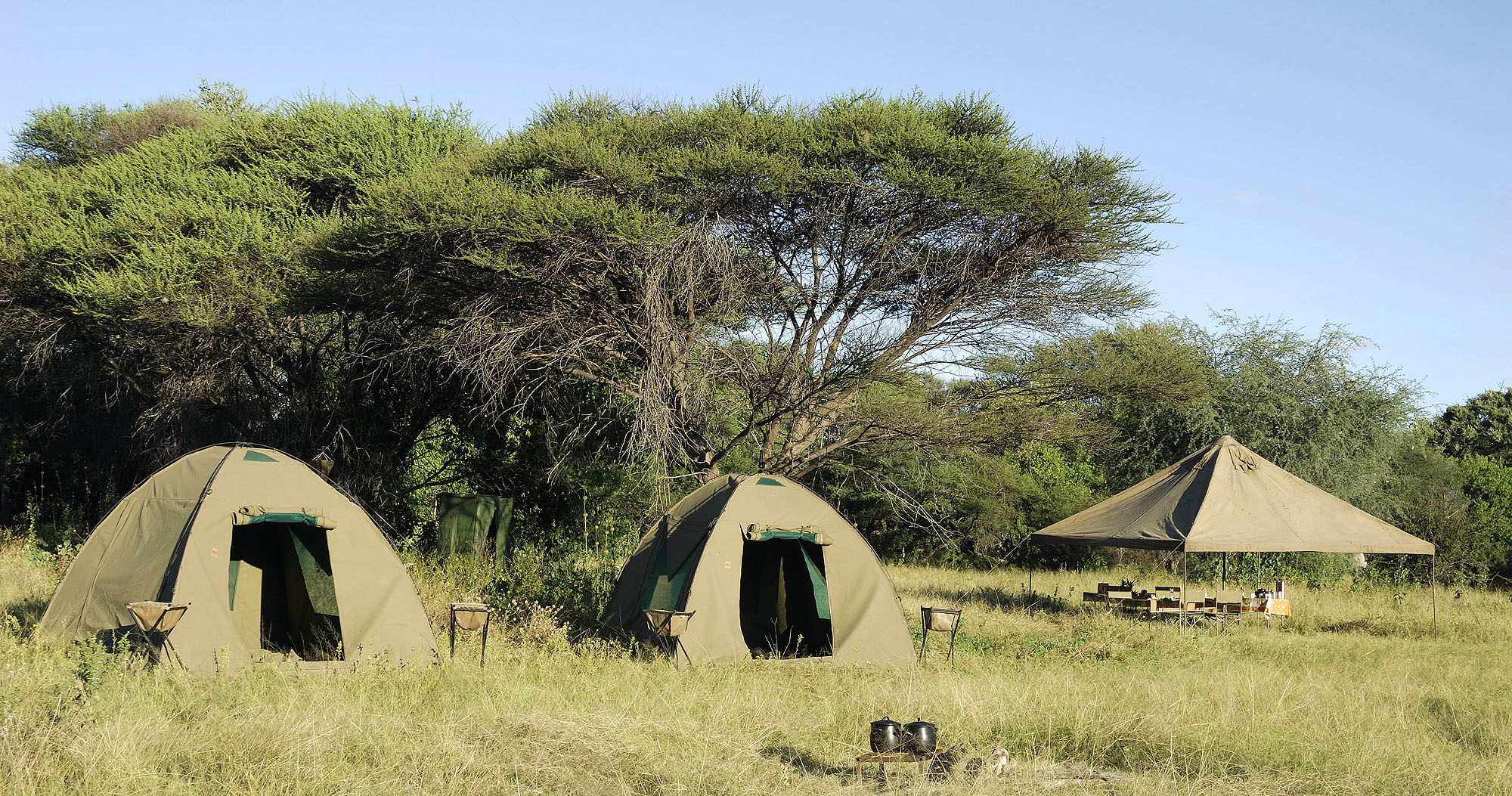 Weite Landschaft im Okavango-Delta in Botswana mit unberührter Wildnis, Wasserarmen und typischer afrikanischer Vegetation. Eindrucksvolle Safari-Kulisse für Naturreisen durch die einzigartigen Naturwunder Botswanas. (Bitte beachten: Ich kann das Bild hin