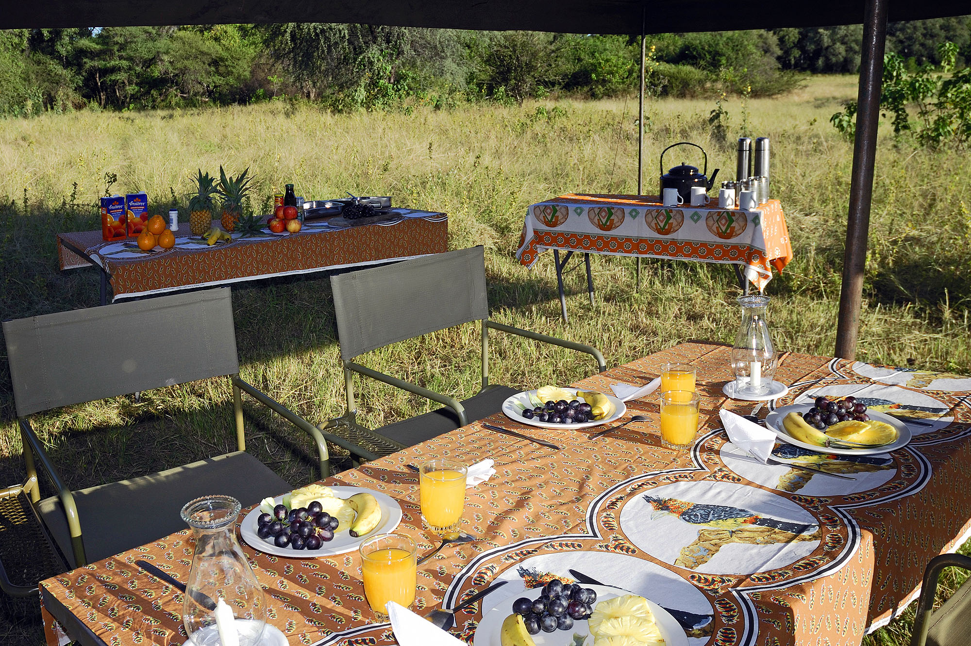 Frühstückstafel in einem Safari-Camp in Botswana mit frischem Obst, Säften und Heißgetränken unter einem offenen Zelt inmitten der afrikanischen Wildnis. Authentisches Safari-Erlebnis und naturnahe Unterkunft während einer Rundreise durch Botswana.