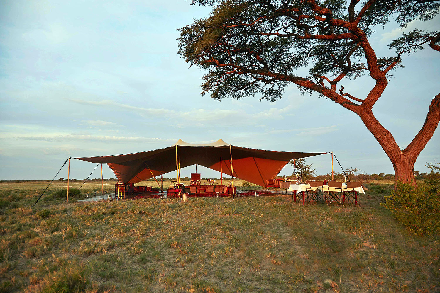 Offener Lounge- und Essbereich eines exklusiven Safari-Camps im Okavango-Delta in Botswana. Das stilvolle Camp liegt inmitten weiter Savannenlandschaften unter einem großen Akazienbaum und bietet ein komfortables Naturerlebnis in der afrikanischen Wildnis