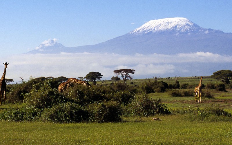 Best of Kenya