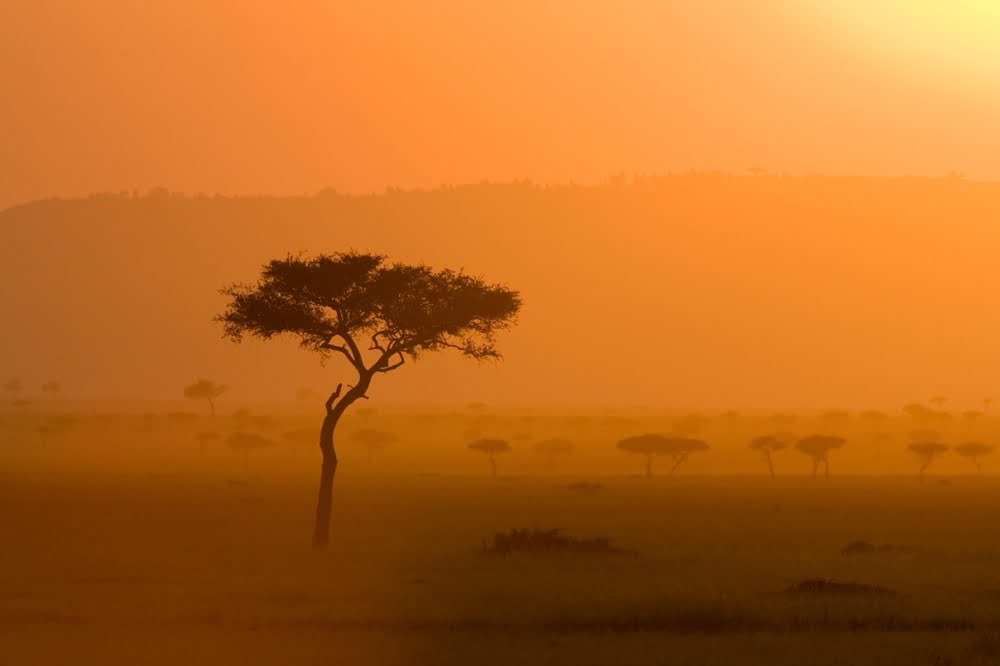 Masai Mara