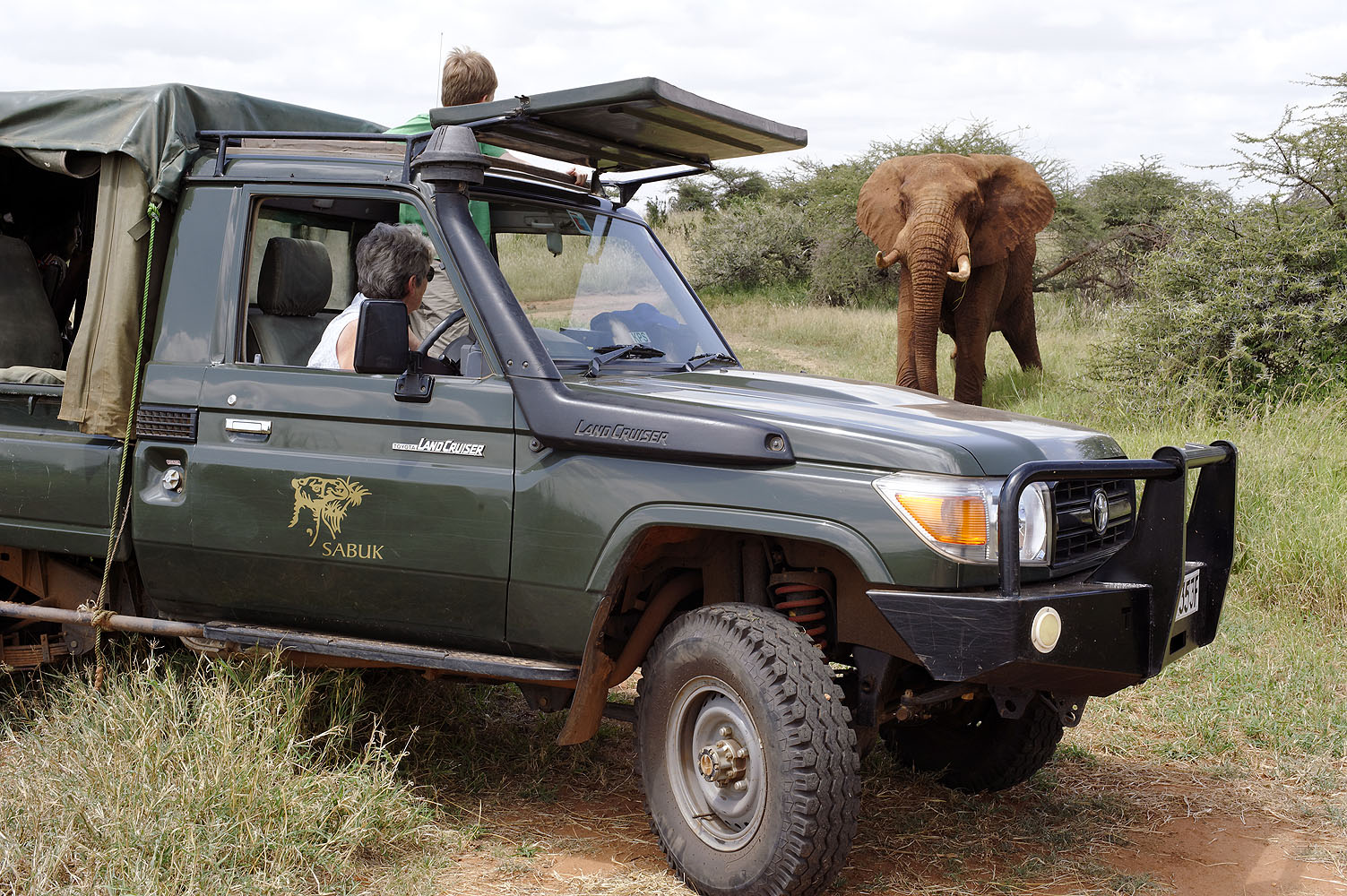 Safari-Fahrzeug auf Pirschfahrt in Kenia mit einem Elefanten in unmittelbarer Nähe in der afrikanischen Savanne.