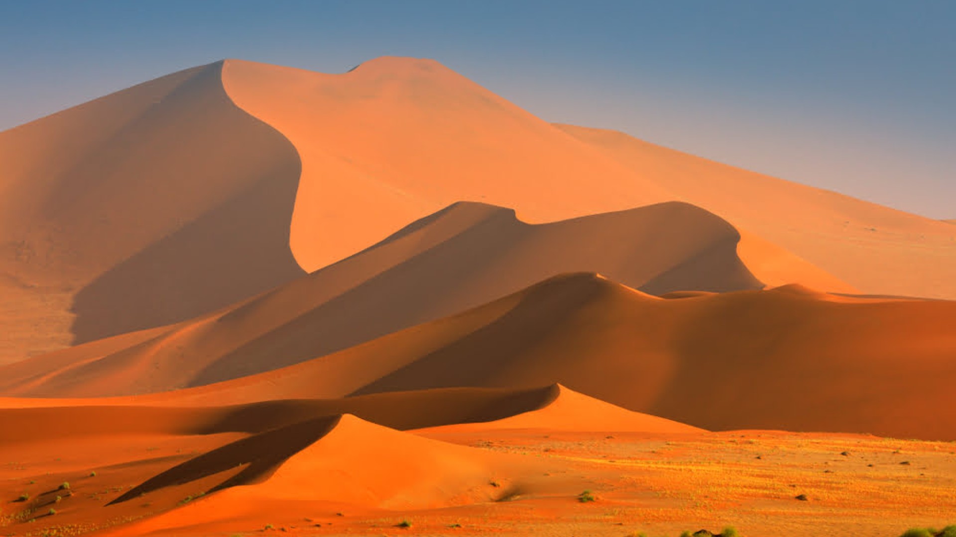 Leuchtend rote Sanddünen der Namib-Wüste in Namibia im warmen Morgen- oder Abendlicht.